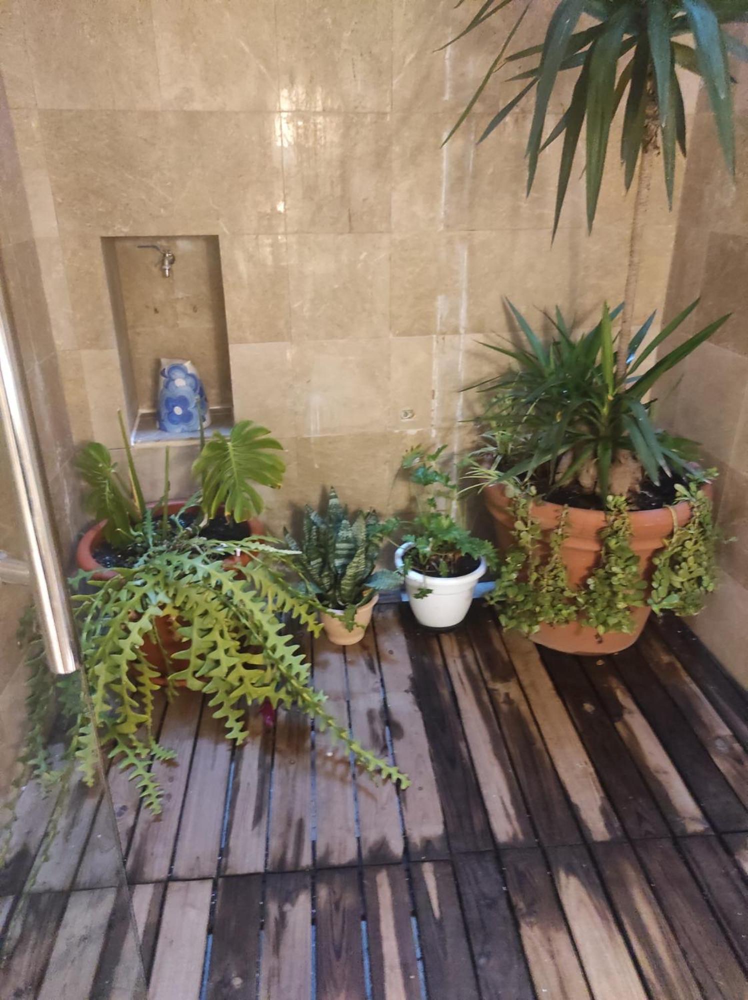 Apartamentos En Plom Valencia Buitenkant foto